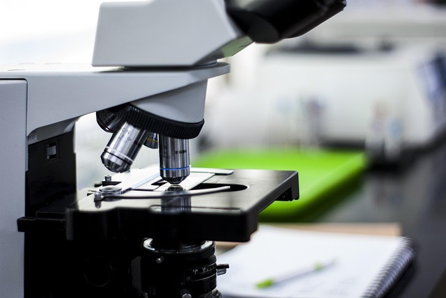 dmcha n,n-二甲基環己胺在制備聚氨酯膠黏劑和涂料中的應用